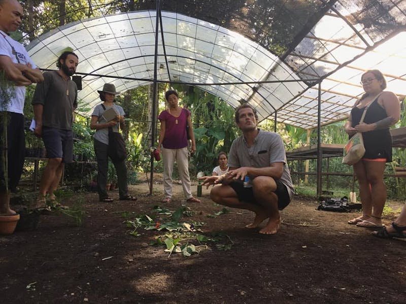 Seoul ecosystem restoration with InanItah