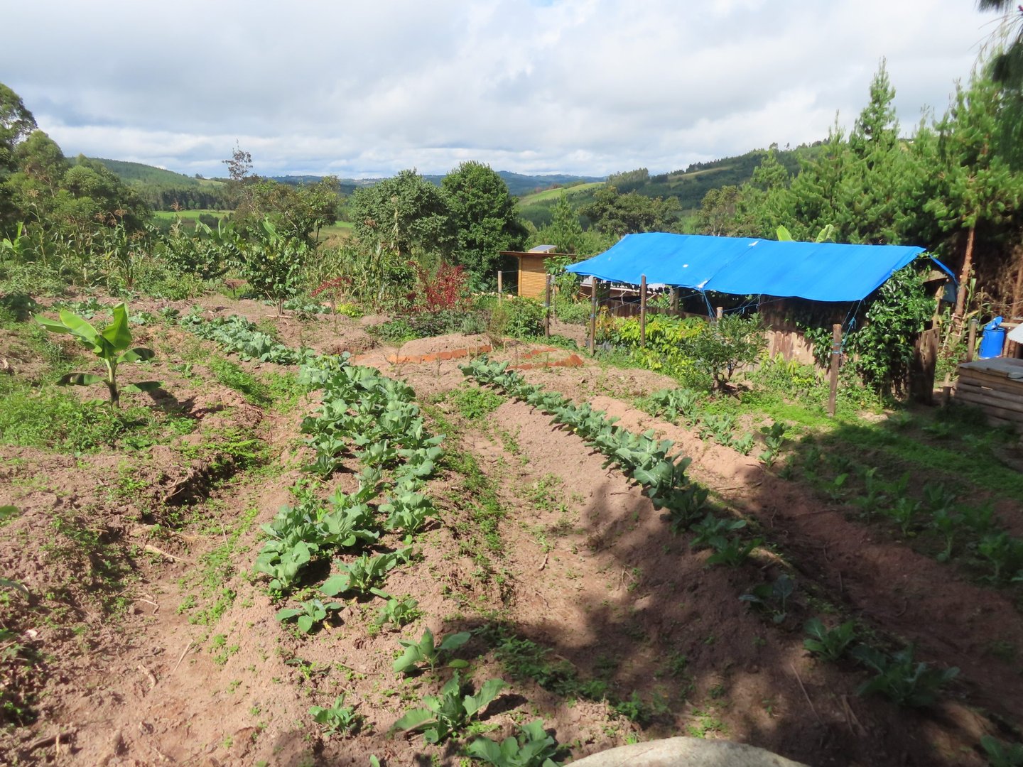 Building permaculture farms across Tanzania