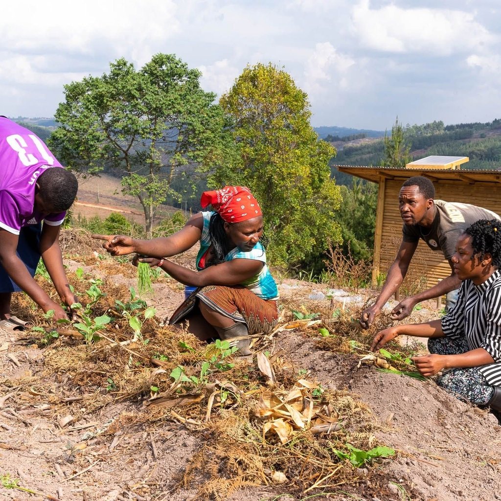Kukua Practical Permaculture of Africa