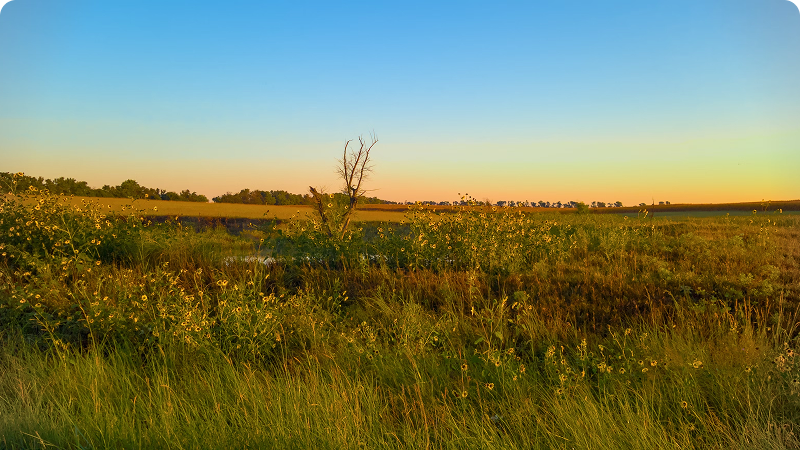 Embracing Nature for Future Generations
