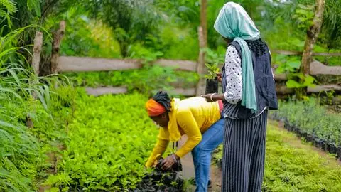 Regenerative land restoration with Miami youth