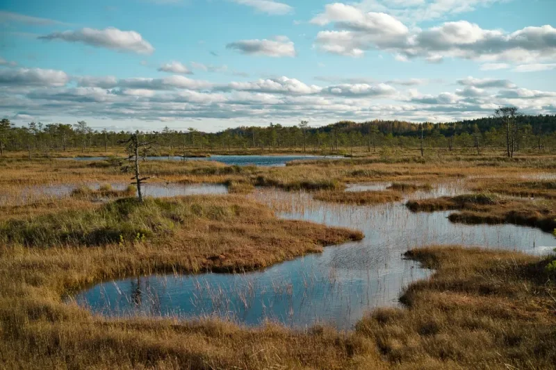 Restoring Webster's water systems, Texas